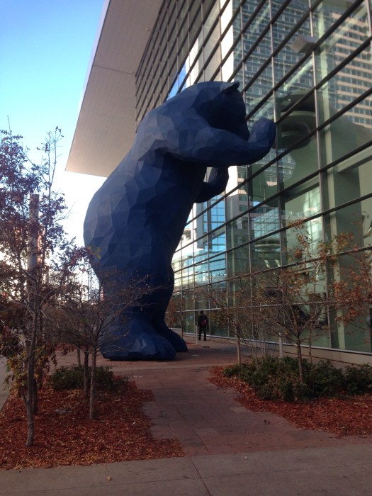 Denver Bear 2016